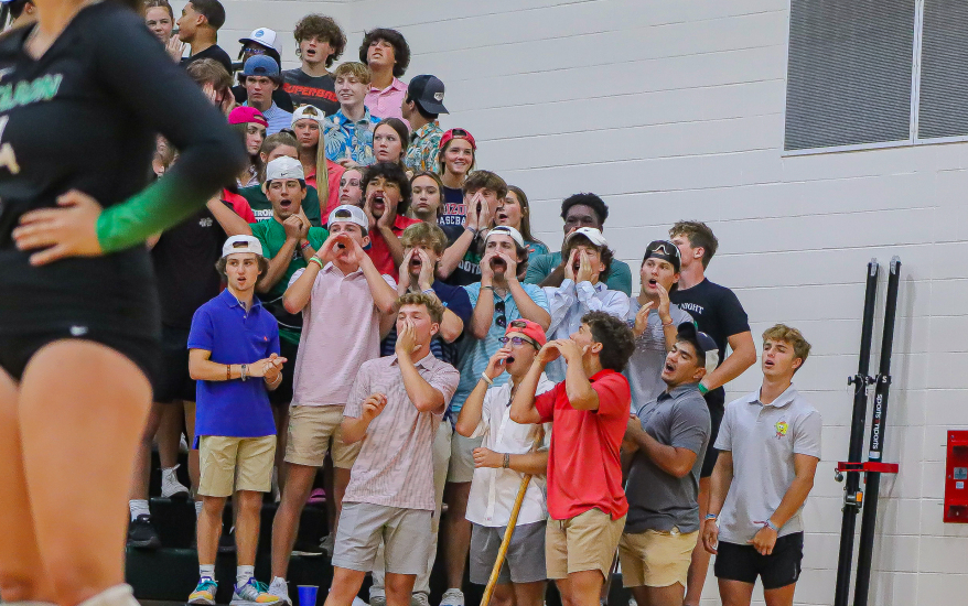 Fans cheering in the stands