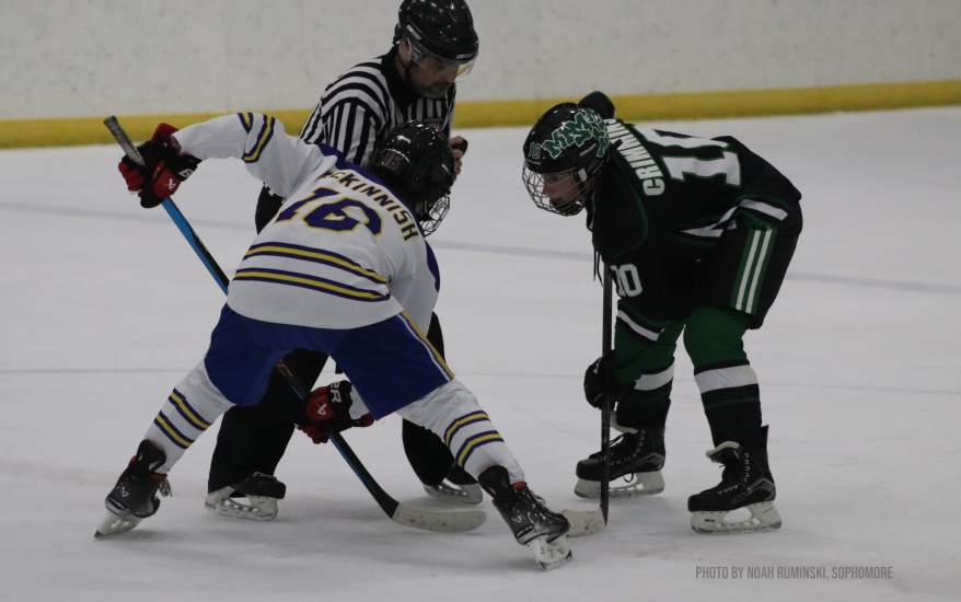 Players Playing Hockey